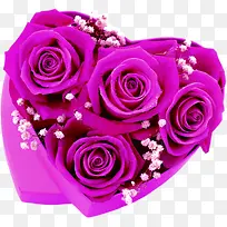 ��ɫõ�尮��-������