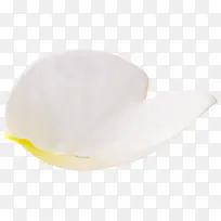 ��ɫ���⻨��-������