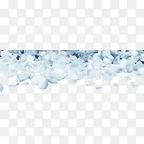 白色花瓣-空若网 白色花瓣-空若网