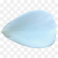 白色花瓣图片-空若网 白色花瓣图片-空若网