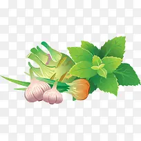 大蒜PNG矢量素材-空若网 大蒜PNG矢量素材-空若网