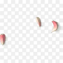 大蒜矢量图片素材-空若网 大蒜矢量图片素材-空若网