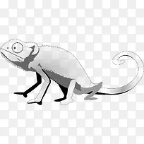 白色的蜥蜴-空若网 白色的蜥蜴-空若网