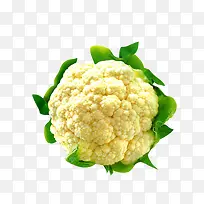 花菜-空若网 花菜-空若网