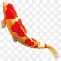 手绘创意鲈鱼展架-空若网 手绘创意鲈鱼展架-空若网