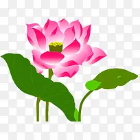 �ɻ��̳�����չ��-������