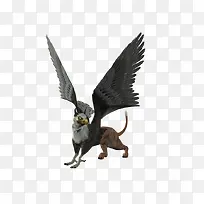 Õ¹³áµÄʨðÕ-¿ÕÈôÍø Õ¹³áµÄʨðÕ-¿ÕÈôÍø