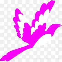 白色粉色小鸟-空若网 白色粉色小鸟-空若网