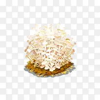 真菌-空若网 真菌-空若网