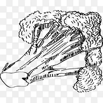 手绘蔬菜菜花-空若网 手绘蔬菜菜花-空若网