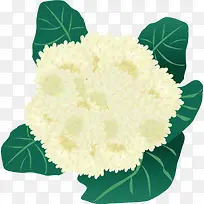 �ֻ��߲˲˻�-������