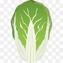 �ֻ��߲˰ײ�-������