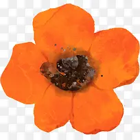 手绘橙色花卉图案-空若网 手绘橙色花卉图案-空若网