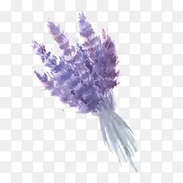 ޹�²�-������