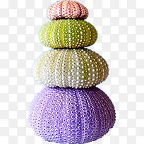 彩色海胆-空若网 彩色海胆-空若网