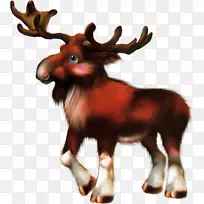 驯鹿动物-森林动物-空若网 驯鹿动物-森林动物-空若网