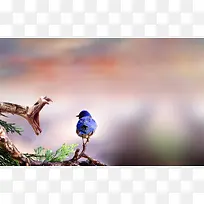 �ɰ���ɫС����֦����-������