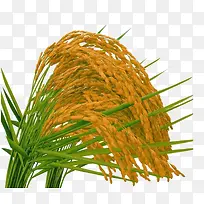 ˮ��-������