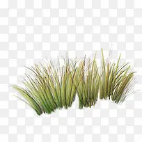 ��-������