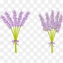 矢量薰衣草-空若网 矢量薰衣草-空若网