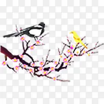 黄鹂梅花树枝-空若网 黄鹂梅花树枝-空若网