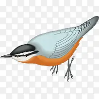 ��ľ��ʸ���ֻ�-������