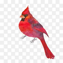 �ֻ�ˮ����-������