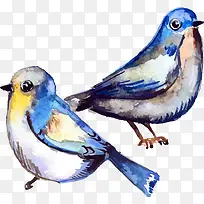 水彩鸟-空若网 水彩鸟-空若网