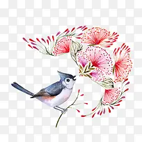 手绘水彩鸟-空若网 手绘水彩鸟-空若网