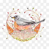 手绘水彩鸟-空若网 手绘水彩鸟-空若网