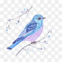 手绘水彩鸟-空若网 手绘水彩鸟-空若网