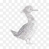 ���ֻ��ɫ��-������