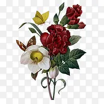 高清创意手绘花卉-空若网 高清创意手绘花卉-空若网