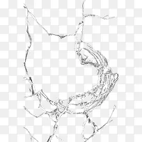 ����Ĳ���-������