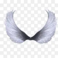 ˫����ë���-������