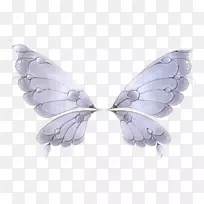 蝴蝶翅膀羽毛昆虫翅膀-空若网 蝴蝶翅膀羽毛昆虫翅膀-空若网