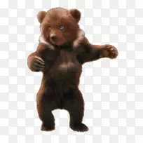 �ܶ��������-������