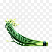 ��̦-������