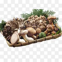 ʳ��-������