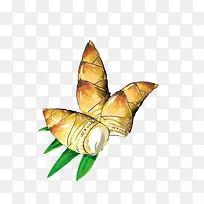 竹笋-空若网 竹笋-空若网