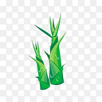 竹笋-空若网 竹笋-空若网