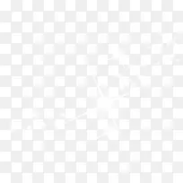 耀眼白色满天星-空若网 耀眼白色满天星-空若网