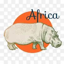 手绘河马-空若网 手绘河马-空若网