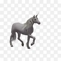 马图片手绘马-空若网 马图片手绘马-空若网