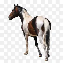 手绘手绘图片-空若网 手绘手绘图片-空若网