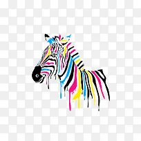 彩色斑马-空若网 彩色斑马-空若网