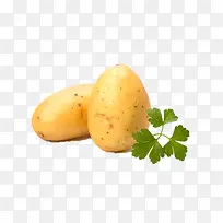 土豆-空若网 土豆-空若网