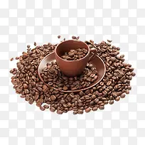 豆类-空若网 豆类-空若网