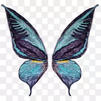 蝴蝶摄影翅膀-空若网 蝴蝶摄影翅膀-空若网