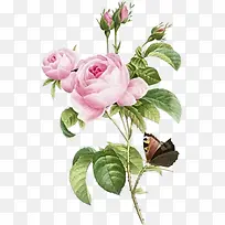 摄影手绘活动海报花朵-空若网 摄影手绘活动海报花朵-空若网